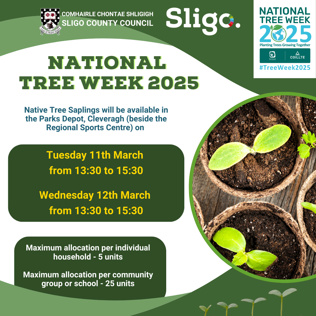  National Tree Week 2025 - Sligo 